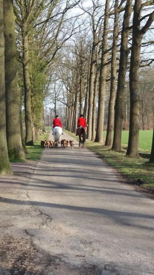 Hoeve De Laan 沃登贝赫 外观 照片