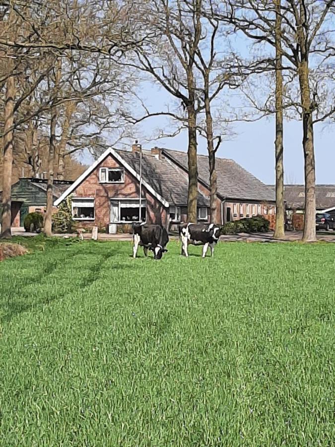 Hoeve De Laan 沃登贝赫 外观 照片